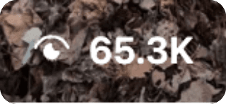 Antro Reels peržiūros per parą: 65,3K